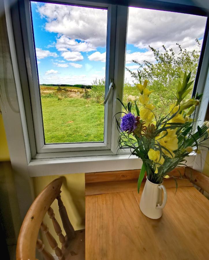 Bluebell Off-Grid Van Newton Stewart Exterior photo